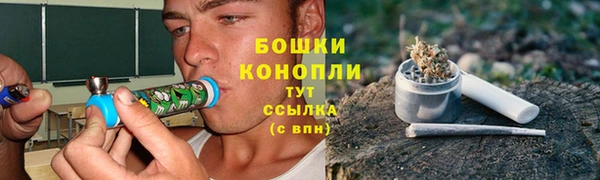 винт Белокуриха